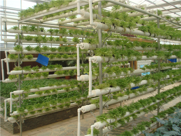 11.Vertical Cultivation